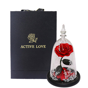 Cadeaux de <span class=keywords><strong>la</strong></span> fête des mères, cadeaux de remise de diplôme, <span class=keywords><strong>La</strong></span> <span class=keywords><strong>Belle</strong></span> <span class=keywords><strong>et</strong></span> <span class=keywords><strong>la</strong></span> Bête, <span class=keywords><strong>rose</strong></span> enchantée, fleurs réelles préservées au toucher réel dans un dôme en verre - Product Image 5