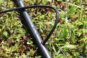 Dispositivo <span class=keywords><strong>de</strong></span> <span class=keywords><strong>riego</strong></span> automático <span class=keywords><strong>de</strong></span> plástico, tubería <span class=keywords><strong>de</strong></span> <span class=keywords><strong>riego</strong></span> por goteo con cuatro gotas y pelo <span class=keywords><strong>de</strong></span> espada <span class=keywords><strong>para</strong></span> uso en invernadero - Product Image 2