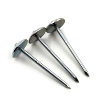 Clous en zinc fabriqués en Chine 2-1/2 pouces (boîte de 25 clous) Clavo lisse pour plafond