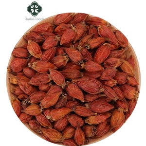 Proveedor mayorista Zhi Zi especias y hierbas secas Fructus Gardeniae nuevos cultivos semillas Rojas secas <span class=keywords><strong>de</strong></span> Fructus Gardeniae - Product Image 1