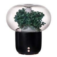Diffuser Aroma Bunga Awet 5V Baru, Diffuser Aroma Senyap Anti-kering untuk Kamar Tidur Hotel, Lampu Malam, Pelembap Udara Semprot