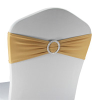 BS00136 décoration de ceintures de chaise de fête de mariage Polyester de haute qualité en bébé bleu Style moderne prix de gros moins cher