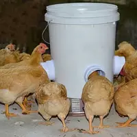 Kit di alimentazione automatica per gravità per pollame a prova di pioggia