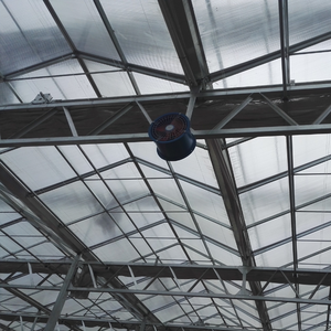 Gespecialiseerde Tomatenzaailingskas Met Mobiele Bank En Kweeklicht Voor Gezonde Sterke Planten - Product Image 2