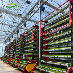 Sistema de Cultivo Vertical para Forraje, Césped, Arroz y Plántulas con Sistema de Riego en Invernaderos - Product Image 2