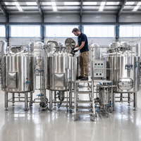 Ligne de production de bière artisanale 500L, brasserie en acier inoxydable SUS304 poli miroir, équipement de filtration de moût à faible perte pour brasserie commerciale