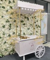 Présentoir Moderne pour Desserts Sucrés et Fleurs, Extérieur, pour Chariot, Mariage, Fête, Événement, Bar à Bonbons avec Roues en PVC