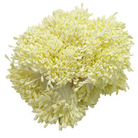Étamines de fleurs de malt de couleur mate faites à la main artificielles bricolage accessoire de décoration de mariage et de festival de noël