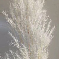 Pigne de cyprès éternelle séchée à l'air, branche de pignon de pin pour la fête des Mères, matériau DIY, longue durée de vie 3-5 ans