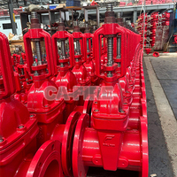 Vanne à opercule en fonte ductile à siège résilient CA DN50-400, haute performance, renforcée, à revêtement en poudre, facile à utiliser