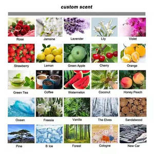 Échantillon gratuit de désodorisant de voiture personnalisé avec logo, parfum longue durée, parfum de voiture suspendu - Product Image 6