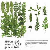 Perlengkapan Kerajinan Bunga Kering Tekan Daun Maple Ginkgo Asli Tanpa Pewarna Kemasan Vakum untuk Pembuatan Bookmark dan Kartu Ucapan Anak-Anak