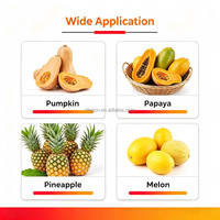 Automatische pompoen-, ananas-, meloen-, mango-, jackfruit- en kokosnootschilmachine, broodvruchtenschiller met CE-keurmerk