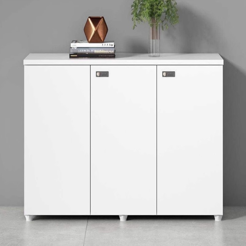 Stylish Modern Design Document Storage Contemporary
