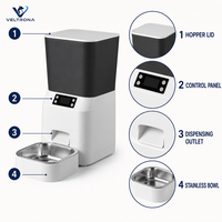 Distributeur automatique de nourriture pour animaux de compagnie, distributeur de nourriture pour chats et chiens à quantité fixe et programmée avec enregistrement vocal, bol en acier inoxydable