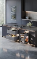 Accessoires de rangement de cuisine sur mesure, tiroir coulissant à 2 niveaux, tiroir à épices étanche et antirouille