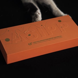 ASIPP Rigid Paper <b>Box</b> Rectangle Art Paper Embossing Hot Stamping High-End Gift Craft <b>Box</b> <b>Recycled</b> Materials Matt Lamination - Product Image 3