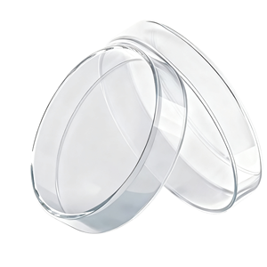 Boîte complète de plaques de <span class=keywords><strong>Petri</strong></span> en plastique jetables, spéciales laboratoire pour la culture microbienne et bactérienne, 35/60/65/70/90mm - Product Image 1