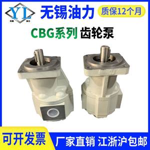 Bomba de Engranajes de Refuerzo Sichuan Changjiang Modelo CBY2010-1TR CBY2025-1FR CBY2032/2016/2040 Nueva Condición - Product Image 3