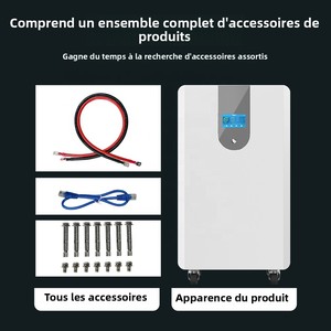 Batterie LiFePO4 51,2 V 16 kWh pour système d'énergie solaire, stockage domestique 16 kW, certifiée CAN CE, livraison UE - Product Image 4