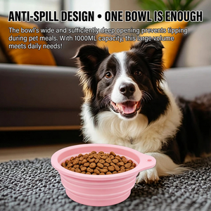 Tazón de agua plegable de silicona para mascotas, portátil, de calidad alimentaria, para perros, para uso en viajes al aire libre. - Product Image 1