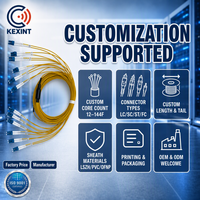 Kabel Patch Fiber Optik KEXINT 12 Fiber Single Mode OS2 LC/UPC Breakout Fan-out untuk Pusat Data dan Telekomunikasi