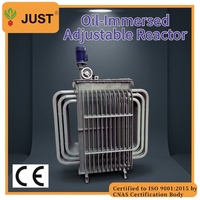 Régulateur de tension triphasé JUST Manufacturer 630 Kvar en cuivre avec affichage numérique AC 50/60Hz haute efficacité pour centre de données
