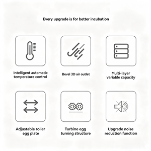 Incubateur automatique intelligent pour volailles <span class=keywords><strong>de</strong></span> 120 œufs, double alimentation, circulation d'air à 360°, contrôle numérique, lumière intégrée, plastique ABS, OEM - Product Image 6