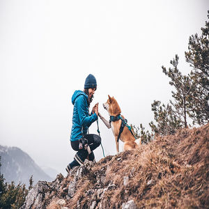 Correa de perro de cuerda de escalada de montaña duradera personalizada de alta calidad con mosquetón - Product Image 3