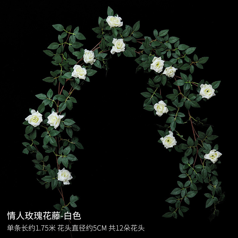 Vigne de roses blanches pour la Saint-Valentin