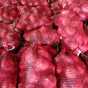 Cebolla Fresca de Calidad de Exportación: Cebolla Roja y Cebolla Amarilla Nueva Cosecha - Product Image 2