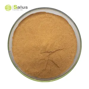 SALUS 도매 은행 나무 Biloba 추출물 EGB 761