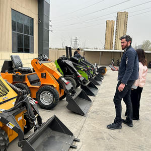 Minicargadora hidráulica de alta eficiencia con certificación CE, movimiento de tierra sobre orugas, envío gratis, entrega global - Product Image 6