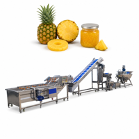 Hoogproductieve automatische fruitjamverwerkingslijn, tomatenpuree- en ketchupproductie-apparatuur