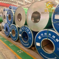 Échangeur de chaleur enroulé en acier inoxydable 200 de Chine pour bain à remous chauffé au bois (calculateur inclus)