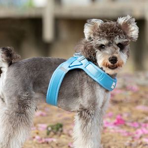 Harnes hewan peliharaan kulit sapi terlaris mantel gaya bendera Amerika dengan tali untuk <span class=keywords><strong>harness</strong></span> hewan peliharaan anjing - Product Image 5