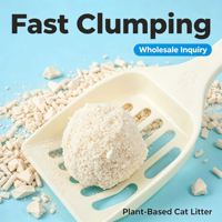 Litière pour chat écologique biodégradable à agglomération rapide, 98 % sans poussière, contrôle des odeurs supplémentaire, très absorbante, à base de manioc