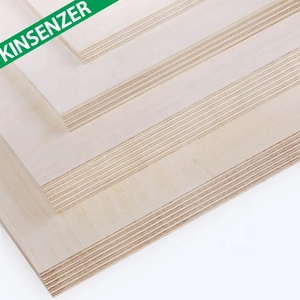 Contreplaqué de bouleau entier Kinsenzer, qualité B/BB BB/CP, bouleau de la Baltique - Product Image 6