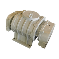 Soplador Roots de hierro fundido para CA, compresor de vapor, bomba de vacío OEM, bajo costo, alta eficiencia, precio de fábrica