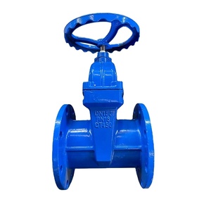 ประตูน้ำเหล็กดัดแบบมีหน้าแปลน DN100 PN16 พร้อมก้านแบบยืดหยุ่นและซีลนุ่ม - Product Image 1