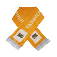 Nouveau produit Tamaulipas écharpes caractéristiques pour fan et suiveur Club drapeau écharpes personnalisées