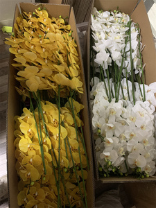 Orquídeas Artificiales de Alta Calidad con 9 Cabezas, Flores de Látex Suaves al Tacto, Orquídeas Phalaenopsis para Decoración Floral de Bodas - Product Image 5