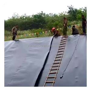 Géomembrane en plastique PE-HD <span class=keywords><strong>Prix</strong></span> de l'eau Géomembrane de revêtement d'étang PE-HD renforcée de barrage de <span class=keywords><strong>piscine</strong></span> Géomembrane en rouleau PE-HD - Product Image 5