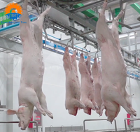 Ligne de production d'abattage de porcs automatique en acier inoxydable à économie d'énergie, équipement complet d'abattoir de porcs, moteur personnalisé pour la viande de porc
