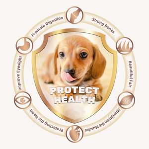 מפעל עליון oem יצרן מותג פרימיום חלבון גבוה חלבון טבעי ללא תבואה עם בריאות העיכול & העור - Product Image 6