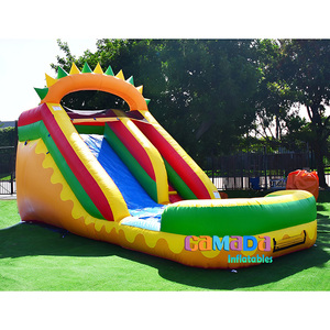 Nhà Máy Trực Tiếp PVC Inflatable Trượt Nước Vương Miện Màu Hồng Công Chúa Màu Xanh Giá Rẻ Mini Trượt Nước Trẻ Em Với Bên Hồ Bơi Cho Thuê - Product Image 5