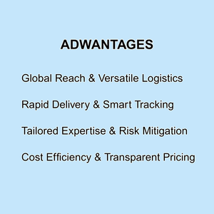 <span class=keywords><strong>Shanghai</strong></span> Shenzhen abd ve kanada navlun iletici çin önde gelen deniz taşımacılığı hizmetleri profesyonel lojistik hizmeti - Product Image 2