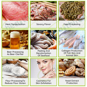 Healththife Ekstrak Buah Pepaya Curah 600,000 Bubuk Enzim Papain U/G - Product Image 5