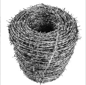 Grosir 10 Gauge 12 Gauge 20 Gauge <span class=keywords><strong>Single</strong></span> <span class=keywords><strong>Strand</strong></span> elektrik Hot Dip galvanis 50kg kawat berduri Harga untuk Nigeria Aljazair - Product Image 6