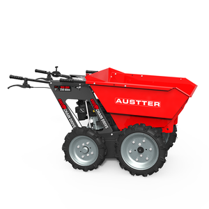 Catalogo Minidumper 4x4 con <span class=keywords><strong>Motore</strong></span> a Benzina da 5.5 CV e Capacità di Carico di 250 KG - Product Image 6